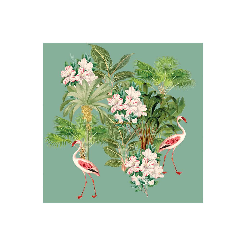 Flamingos